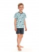 Пижама,ночная рубашка артикул: 390/391 SS21 MAX Пижама для мальчиков с шортами от Taro - вид 1