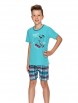 Пижама,ночная рубашка артикул: Детская пижама 22S Ivan 2746-2747-02 от Taro - вид 2