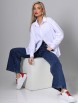 Блузка артикул: Р-0150 от DS Trend - вид 2