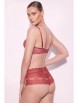 Бюстгальтер артикул: Бюстгальтер Bohemian Vibe P-UP от Alles - вид 4