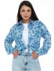 Блузка артикул: Б868 от Diolche - вид 1